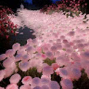 Meet your Posher, Ravleen